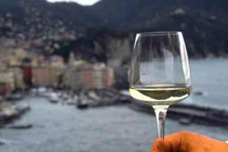 Fratelli Centanaro - I Vini